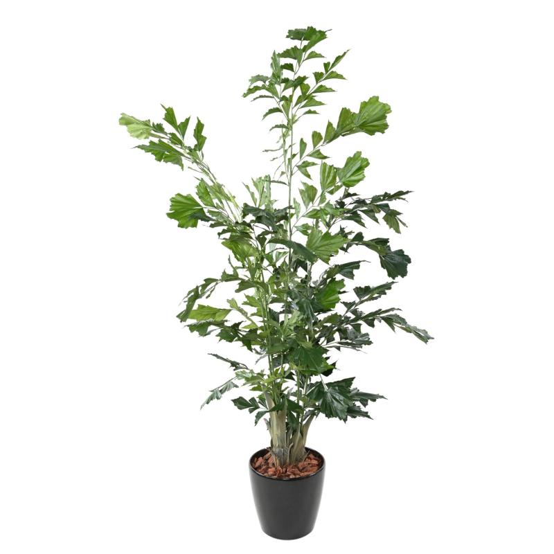 Caryota artificiel