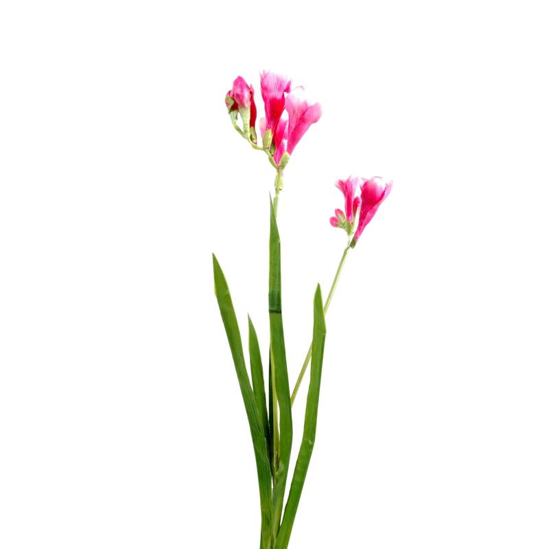 Freesia Artificiel L