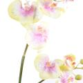 Orchidées artificielle Phalaenopsis L*12