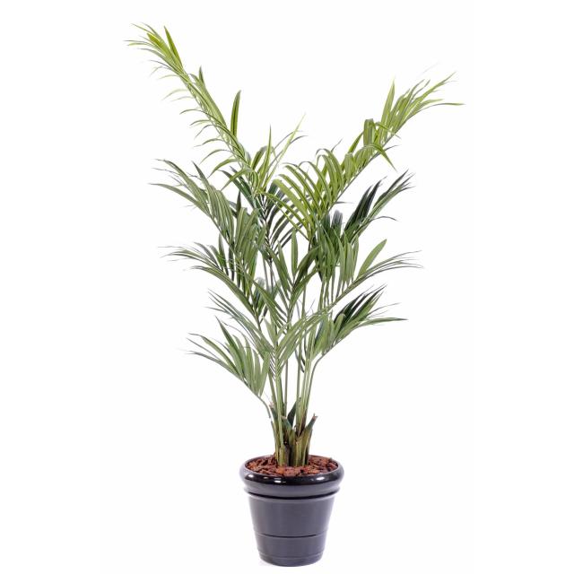 Kentia Artificiel Palm de 180 cm de Hauteur Composé de 12 Branches