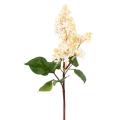 Lilas 82 Artificiel
