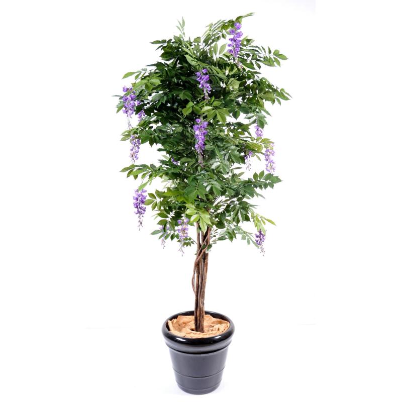Glycine artificielle Multi Tree