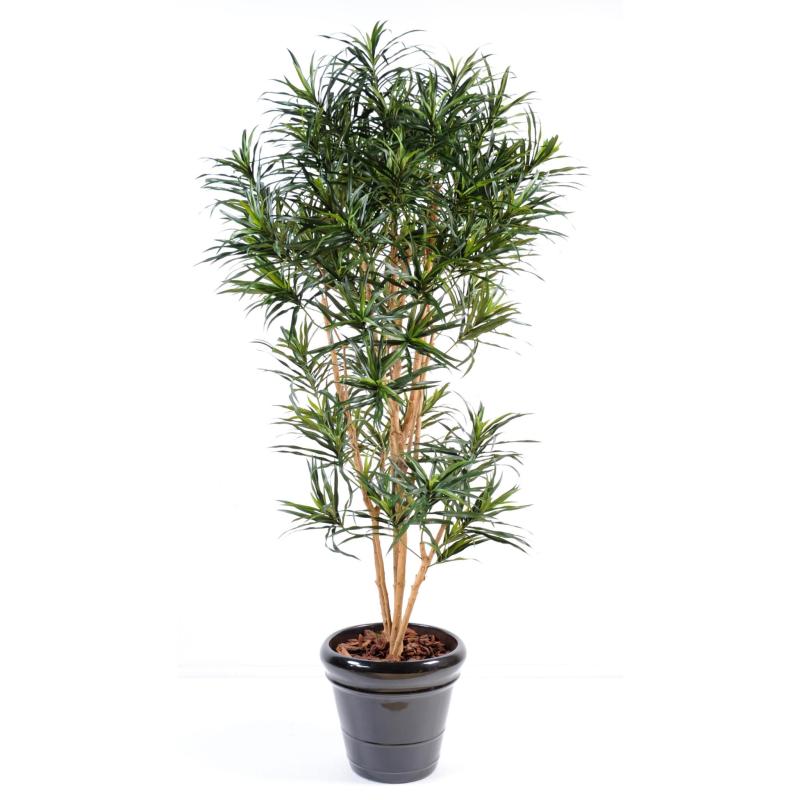 Dracaena Artificiel Anita