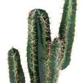 Cactus artificiel Cereus