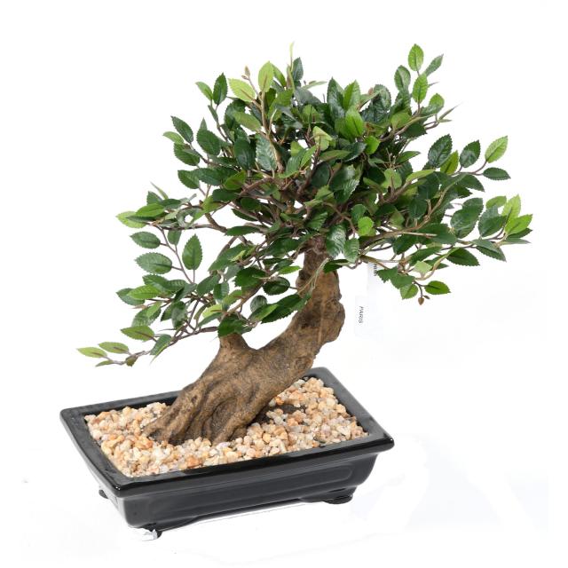 Bonsai Orme Artificiel en Coupe Gravier - Bonsais Artificiels