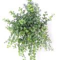 Peperonia artificiel Chute Plast