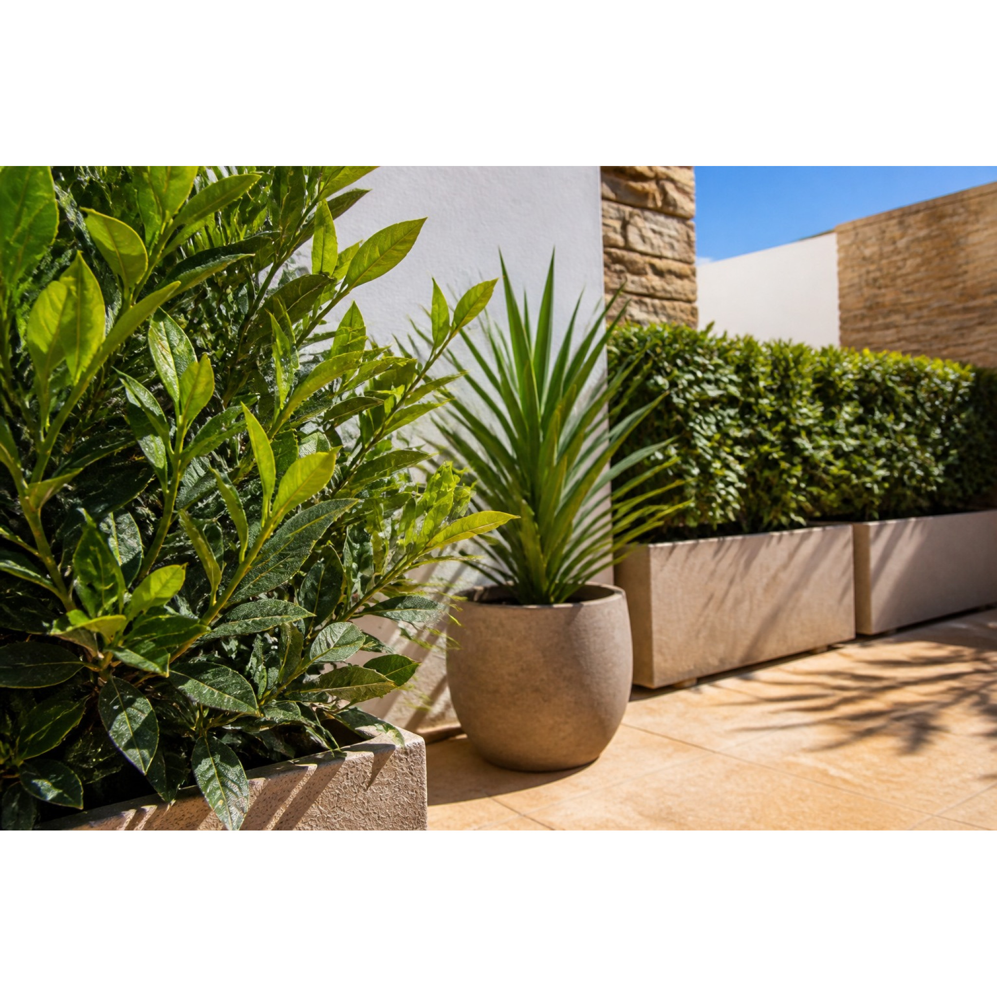 Plantes artificielles extérieures exposées au soleil sur une terrasse en pierre claire